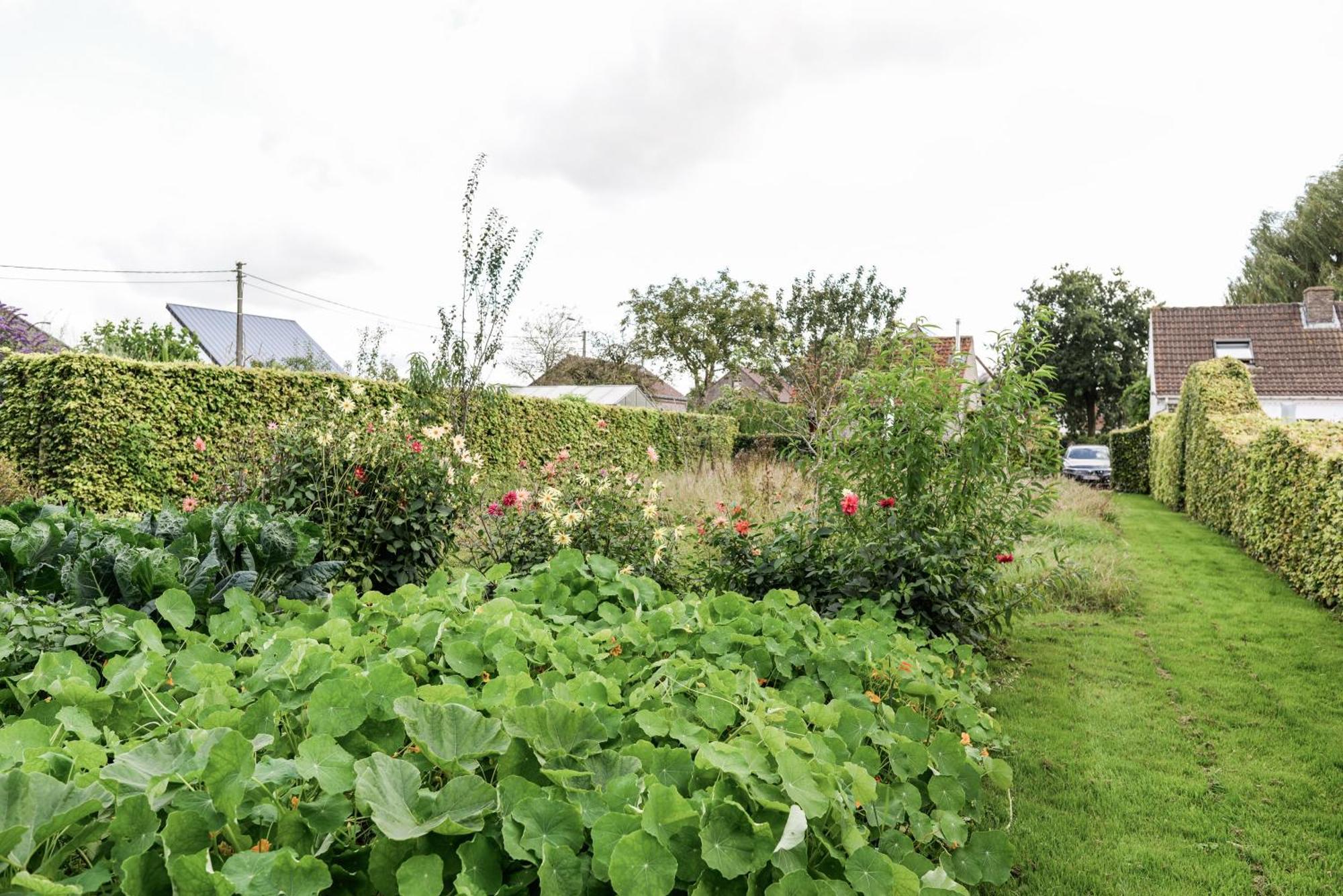 Finca Feliz With Private Jacuzzi & Sauna Oostkamp Bagian luar foto