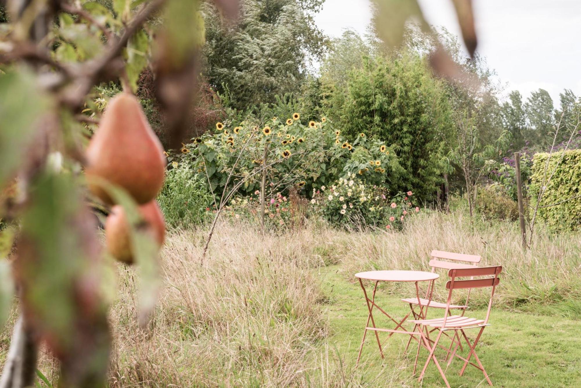 Finca Feliz With Private Jacuzzi & Sauna Oostkamp Bagian luar foto